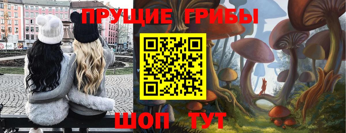 Галлюциногенные грибы Psilocybine cubensis  Вход с VPN  Красноармейск  Галлюциногенные грибы мицелий 