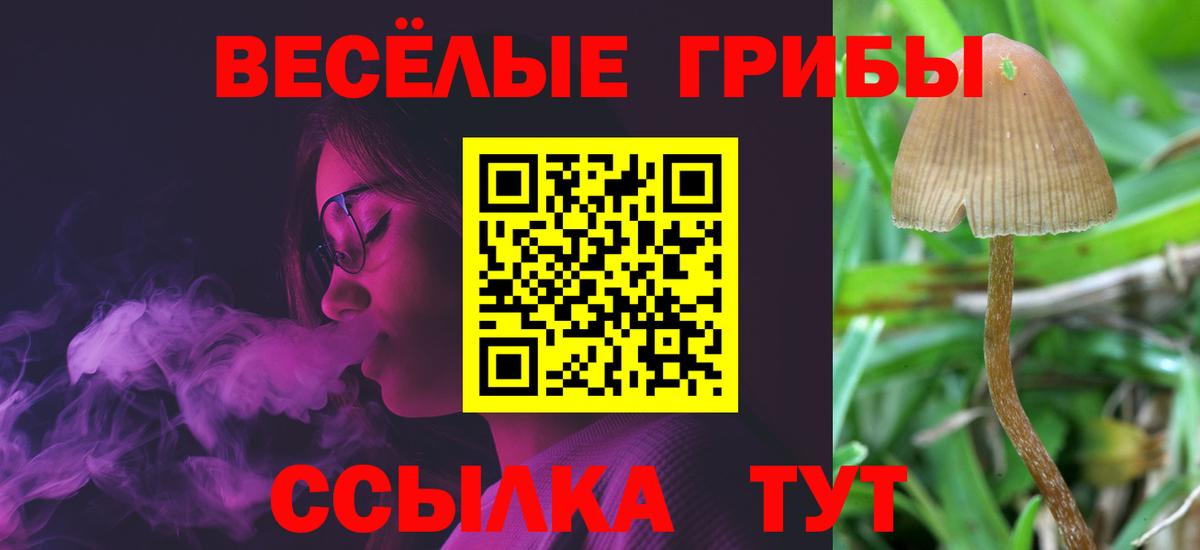 Кокаин  Бошки Шишки  Метамфетамин  APVP  Ляпка  МДМА  Вход с VPN  Красноармейск  Мефедрон 